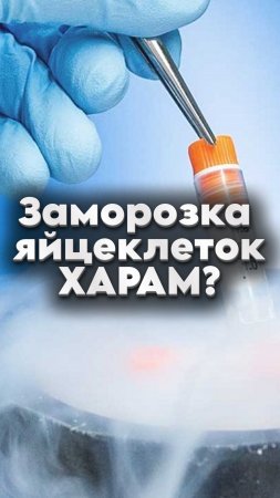 🐣Мусульманкам можно замораживать яйцеклетки при одном условии🐥