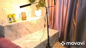 КОМНАТНЫЕ РАСТЕНИЯ(ЦВЕТЫ).НУЖНЫЕ ПОКУПКИ.НОВАЯ НАПОЛЬНАЯ ФИТО ЛАМПА.