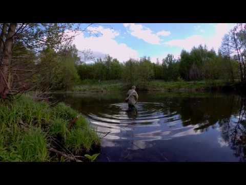 FARIO NT MORM 2020. Солид - второй шанс на рыбалке.