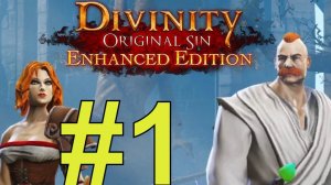 Divinity: Original Sin EE Прохождение(2024) ч1 Пробуем Доблесть
