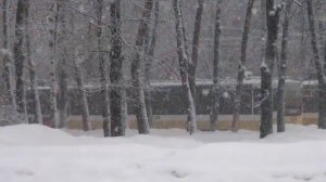 Стучится в дверь зима. Автор слов и музыки Г. Клочков. Исп. В. Сергеев