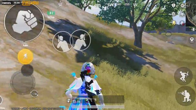 Zerbin млатшей