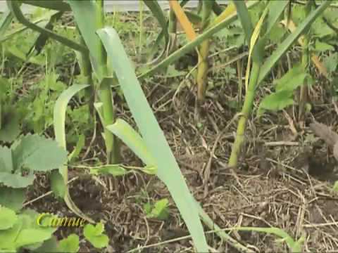 1_Истощенная почва и плодородная смотреть онлайн