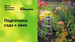 Подготовка сада к зиме, укрытие роз, кустарников