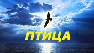 Птица