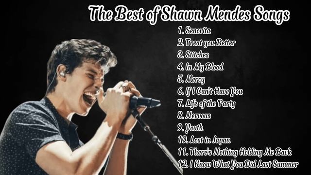 The Best of Shawn Mendes Songs смотреть онлайн