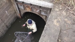 ЛОВЛЮ РЫБУ САЧКОМ прямо КАК В ДЕТСТВЕ! Хороший улов!