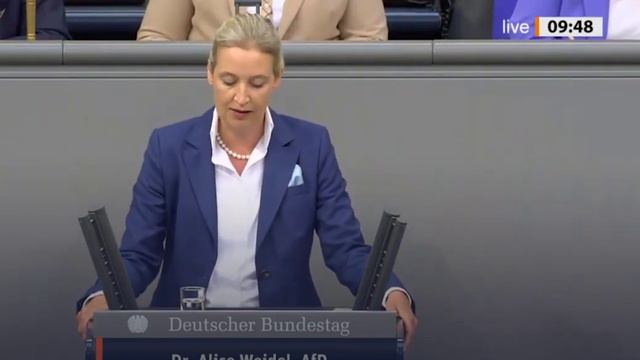 Weidel, AFD. Вайдель Алиса, ведущий политик АДГ. не #луафасра. Радио в ФРГ на русском, Grüne Welle