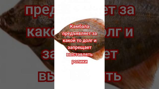 КВИТАНЦИЯ. Предъява за видео и какой то долг. Как всегда набор слов.