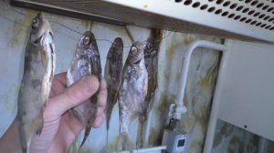 ЧТО СДЕЛАТЬ С МЕЛКОЙ РЕЧНОЙ РЫБОЙ? БЫСТРО И ВКУСНО.