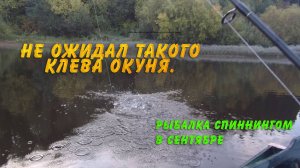 Не ожидал такого клева окуня. Рыбалка спиннингом в сентябре