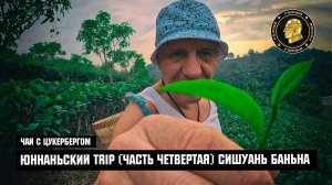 Чай с Цукербергом - ЮННАНЬСКИЙ TRIP ЧАСТЬ ЧЕТВЕРТАЯ «СИШУАНЬ БАНЬНА»