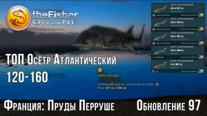 Fisher Online - Франция : Пруды Перруше (2024) - Осётр Атлантический # 15/1