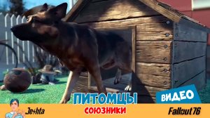 Fallout 76 🐱🐶 Кошки и собаки – новые союзники