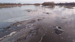 Льдины пошли Большой Иргиз