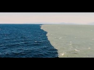 Как такое возможно? Моря, которые не соединяются друг с другом. #ГАЛОКЛИН