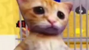 полицейский пук