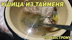 Ушица из тайменя по быстрому