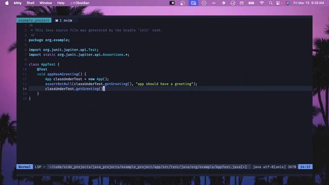 Configure Neovim for Java Development