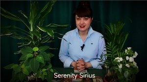 ПОСЛАНИЕ АРХАНГЕЛОВ👼СОВЕТЫ И ПОДСКАЗКИ😇таро расклад гадание онлайн