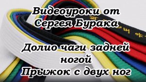 Видеоуроки от Сергея Бурака. Долио чаги задней ногой. Прыжок с двух ног.