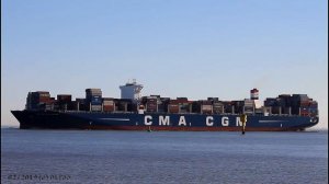 CMA CGM GEORG FORSTER | Elbe Höhe Otterndorf