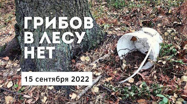 Не ходите в лес по грибы в середине сентября, там их нет... смотреть онлайн