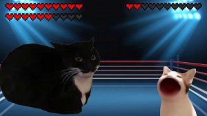Giant Maxwell cat cat vs Pop cat! Meme battle
