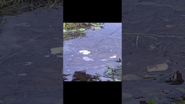 1000374936.mp4