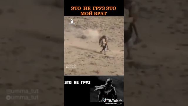 мудрый слова пророка смотреть онлайн