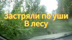 Застряли в лесу. Катались по бездорожью на Тойоте Карине. Новосибирская область. Маслянинский район.