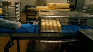 Козья ферма Лукоз и Сернурский сырзавод — хороший продукт начинается с заботы о животных