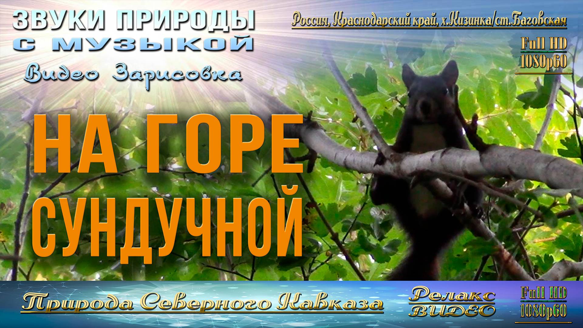 На горе Сундучной. Кавказские горы.