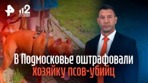 В Подмосковье оштрафовали хозяйку псов-убийц