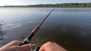 Рыбалка на Оке! Начало сентября! КЛЮЁТ ОДНА ЗА ОДНОЙ!