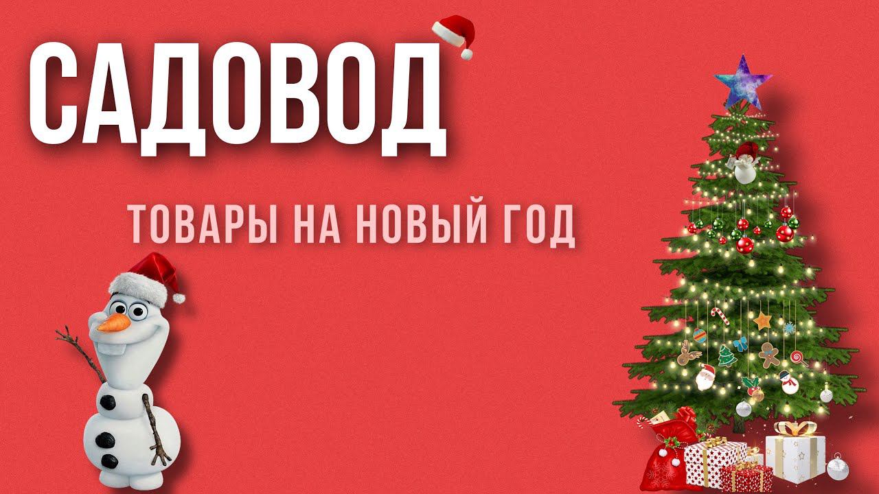 НОВОГОДНИЕ ЛИНИИ В САДОВОДЕ