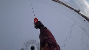 Окунь! Я тебя нашел!