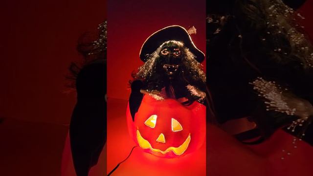 Kurt Adler Fiberoptic Witch in Pumpkin смотреть онлайн