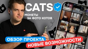 CATS: Верификация / Новые возможности / Листинг и AirDrop