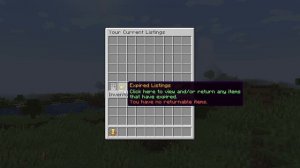 How to Make an Auction House on Your Minecraft Server