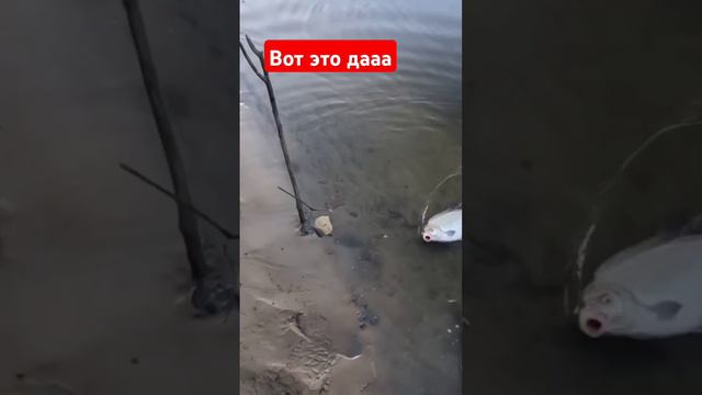 Вот это дааа