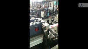 Станок для производства реторт-пакетов, модель DZR-600