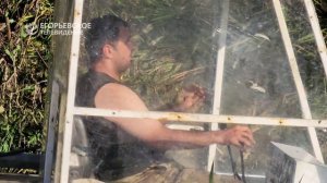 По программе губернатора. В селе Радовицы проводят очистку Святого озера.