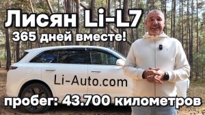 Лисян Li-L7, что стало с автомобилем за один год эксплуатации?