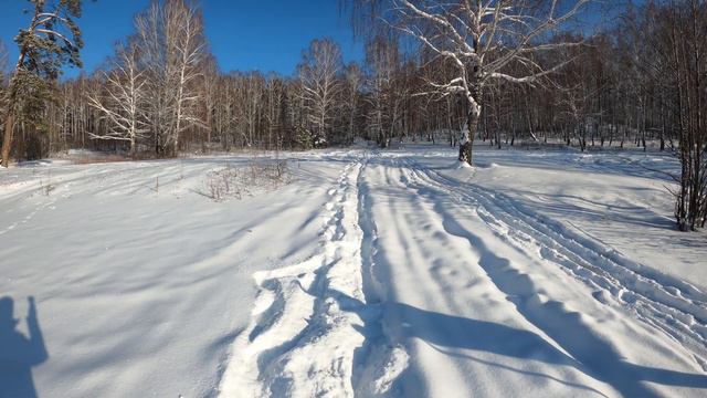 Лыжня могла бы быть здесь! 12.02.2022 г.
