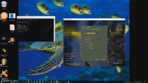 БЕСПАЛЕВНЫЙ ВХ ДЛЯ КС 1.6 / CS 1.6 WH