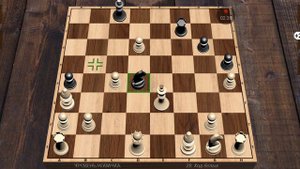 Играю в Шахматы)))