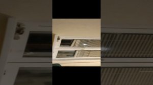1000025059.mp4