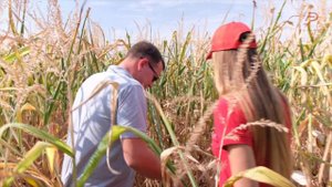 Умное растениеводство, часть 2