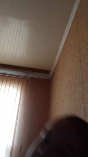 skibidi туалет